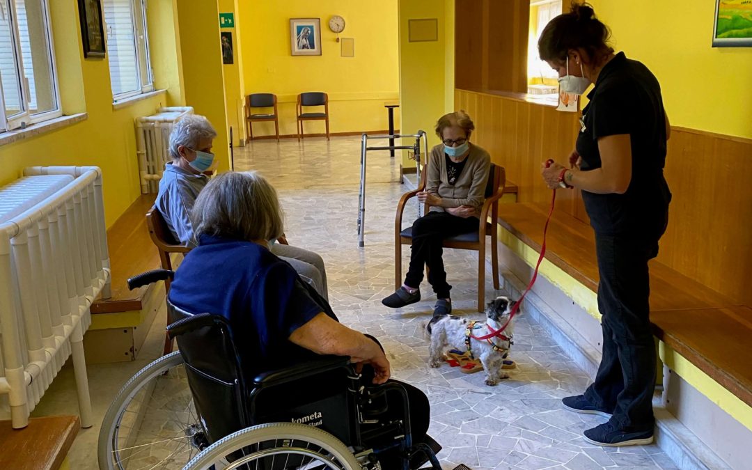 La ripresa delle attività